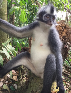 スクリーンショット 2016-06-20 23.27.32