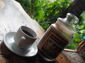 20A215A9-DC5C-41AB-B2DD-AFDF87B4BD5E