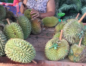 スクリーンショット 2016-06-21 1.11.22