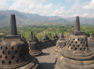 291D1C42-A931-42BC-96EE-FAC4021D33CD